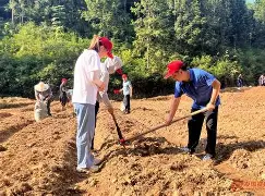 开云-包含这也行？尤文图斯绝杀压哨备战法甲亚特兰大遗憾出局备战德甲，转会期印第安纳步行者调整名单以备意大利杯的词条